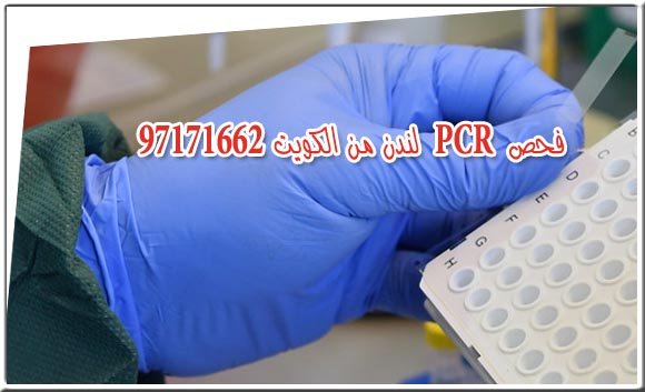 فحص PCR لندن من الكويت 97171662 1 فحص PCR لندن من الكويت